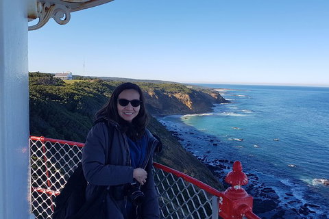 Great Ocean Road Full Day Private Experience - Lismore Accommodation 1