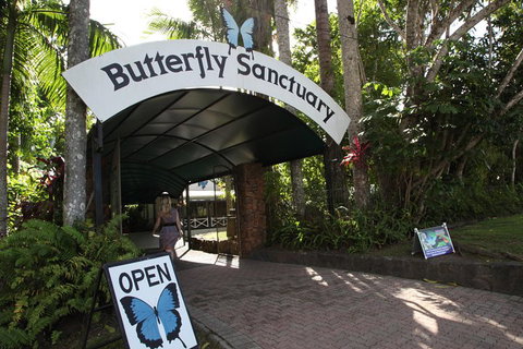 Kuranda Day Trip From Port Douglas Upgrade To Skyrail & Scenic Train Available - Lismore Accommodation 0