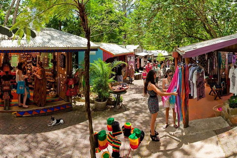 Kuranda Day Trip From Port Douglas Upgrade To Skyrail & Scenic Train Available - Lismore Accommodation 2