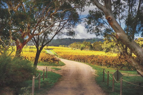 McLaren Vale Winery Small Group Tour With Wine Tasting And Lunch - Lismore Accommodation 1