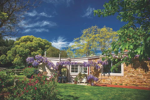 McLaren Vale Winery Small Group Tour With Wine Tasting And Lunch - Lismore Accommodation 2