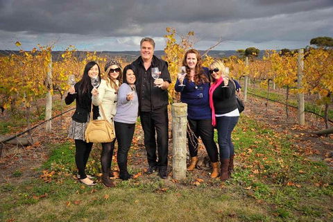 McLaren Vale Winery Small Group Tour With Wine Tasting And Lunch - Lismore Accommodation 3