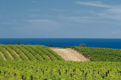 McLaren Vale Winery Small Group Tour With Wine Tasting And Lunch - Lismore Accommodation 4