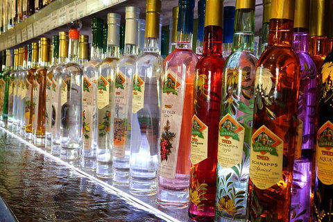 Bar & Brewery Tour - Lismore Accommodation 4