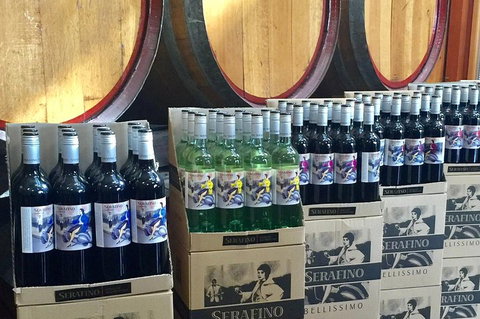 Mclaren Vale Luxury Full Day Small Group Wine Tour - Lismore Accommodation 0