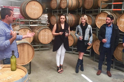 Mclaren Vale Luxury Full Day Small Group Wine Tour - Lismore Accommodation 5