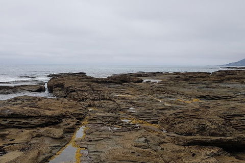 Luxury Private Great Ocean Road Tour Up To 11 People - Entire Vehicle - Lismore Accommodation 1