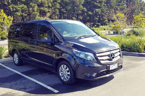 Luxury Private Great Ocean Road Tour Up To 11 People - Entire Vehicle - Lismore Accommodation 3