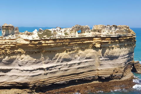 Luxury Private Great Ocean Road Tour Up To 11 People - Entire Vehicle - Lismore Accommodation 4