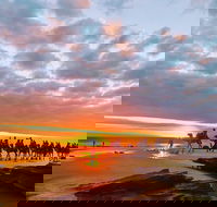 1 Hour Broome Sunset Camel Tour - Lismore Accommodation