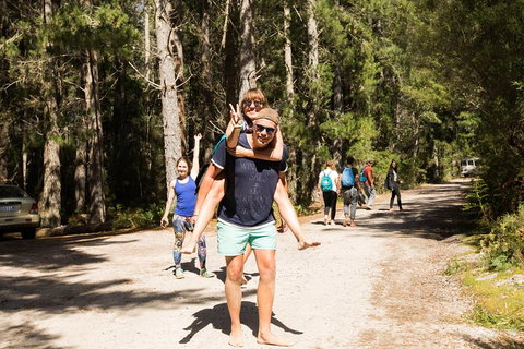 7-Day Best Of Tasmania Adventure Experience From Hobart (flexible Ticket) - Lismore Accommodation 5