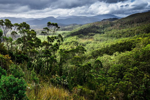 5-Day Lap Of Tasmania Tour From Hobart (flexible Ticket) - Lismore Accommodation 2