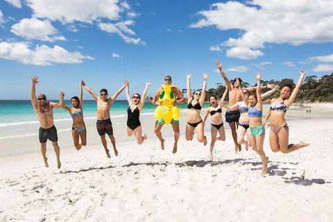 5-Day Lap Of Tasmania Tour From Hobart (flexible Ticket) - Lismore Accommodation 4