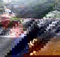 Private Blue Mountains Day Tour including Wildlife Park - Lismore Accommodation