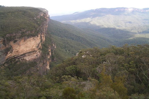 Full-Day Private Blue Mountains Tour With River Cruise - Lismore Accommodation 3