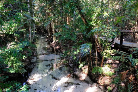 Fraser Island 4WD Tour From Rainbow Beach - Lismore Accommodation 0
