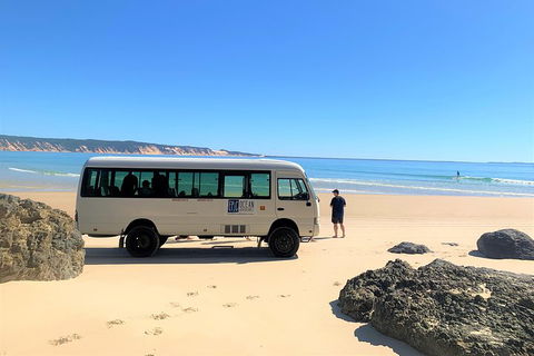 Kayak With Dolphins And 4WD Great Beach Drive Day Trip From Noosa - Lismore Accommodation 4