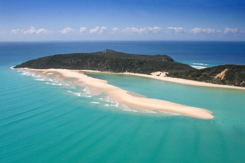 Kayak With Dolphins And 4WD Great Beach Drive Day Trip From Noosa - Lismore Accommodation 5