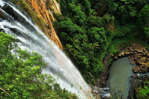 Private Tour - Rainforest & Waterfalls Extravaganza - Lismore Accommodation 2