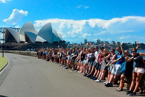 7-Day Tour In Sydney With Airport Pickup - Lismore Accommodation 3