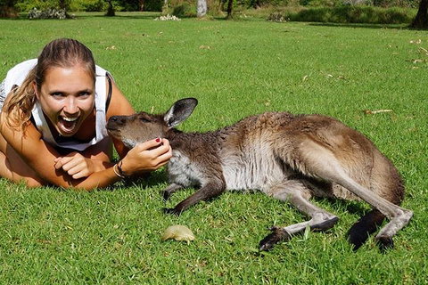 7-Day Tour In Sydney With Airport Pickup - Lismore Accommodation 4