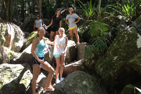 Byron Bay Hinterland Tour Including Rainforest Walk To Minyon Falls - Lismore Accommodation 3
