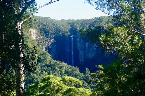 Byron Bay Hinterland Tour Including Rainforest Walk To Minyon Falls - Lismore Accommodation 4