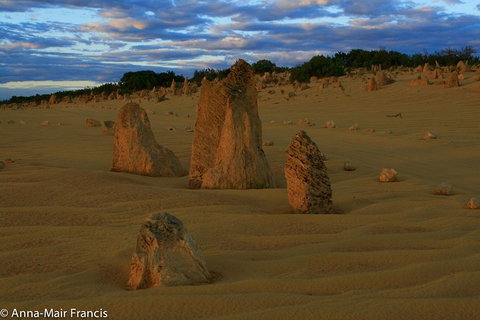 The Pinnacles, Sea And Dunescapes, Bush Reserve And Sunset Day Tour - Lismore Accommodation 1