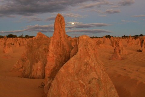 The Pinnacles, Sea And Dunescapes, Bush Reserve And Sunset Day Tour - Lismore Accommodation 4