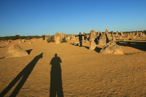 The Pinnacles, Sea And Dunescapes, Bush Reserve And Sunset Day Tour - Lismore Accommodation 5