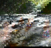 Daintree Rainforest Cape Tribulation Mossman Gorge Small-Group Day Tour - Lismore Accommodation