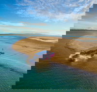 Town of 1770 Afternoon Cruise - Lismore Accommodation