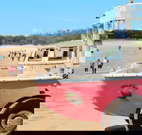 1770 Coastline Tour by LARC Amphibious Vehicle Including Picnic Lunch - Lismore Accommodation