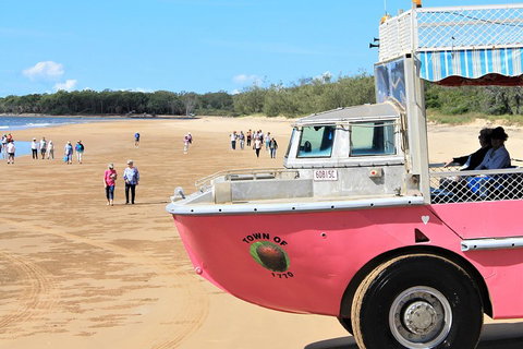 1770 Coastline Tour By LARC Amphibious Vehicle Including Picnic Lunch - Lismore Accommodation 0