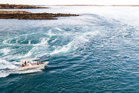 Giant Tides Tour - Cygnet Bay Pearl Farm - Lismore Accommodation 4