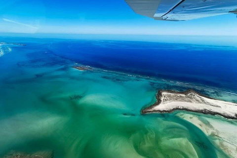 Wet Season Incredible Islands Tour - Horizontal Falls & Cygnet Bay Pearl Farm - Lismore Accommodation 4