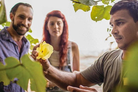 Ngana Julaymba Dungay - Full Day - Lismore Accommodation 4