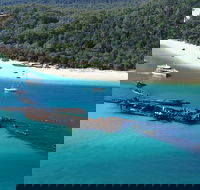 All Inclusive Tangalooma Wrecks Cruise Tour From Gold Coast - Lismore Accommodation