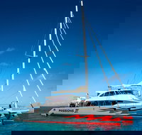 Passions of Paradise Great Barrier Reef Snorkel and Dive Cruise from Cairns by Luxury Catamaran - Lismore Accommodation