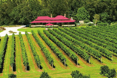 O'Reilly's & Lamington National Park From Brisbane - Lismore Accommodation 2
