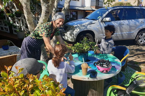 O'Reilly's & Lamington National Park From Brisbane - Lismore Accommodation 3