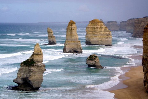 LGBT+ Friendly 2 Day Private Tour Great Ocean Road + Phillip Island - Lismore Accommodation 0