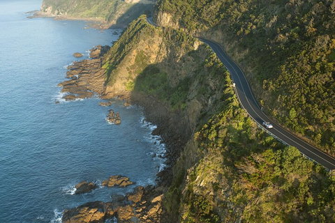 LGBT+ Friendly 2 Day Private Tour Great Ocean Road + Phillip Island - Lismore Accommodation 4