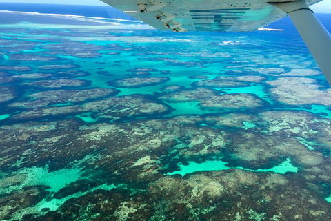 Shipwreck Special Full Day Tour Of The Abrolhos Islands - Lismore Accommodation 1