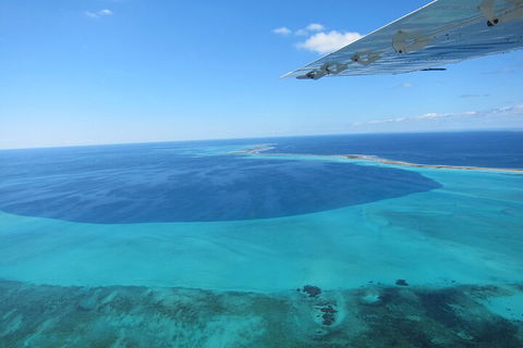 Shipwreck Special Full Day Tour Of The Abrolhos Islands - Lismore Accommodation 2
