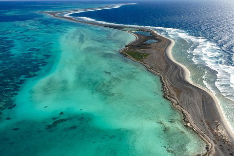 Shipwreck Special Full Day Tour Of The Abrolhos Islands - Lismore Accommodation 3