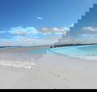 Shipwreck Special Nature Tour/Half Day Tour - Lismore Accommodation