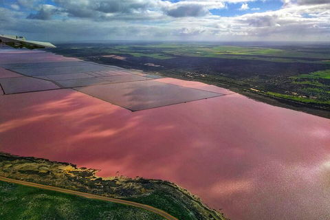 Kalbarri, Pink Lake And Abrolhos Islands Nature Tour - Lismore Accommodation 1