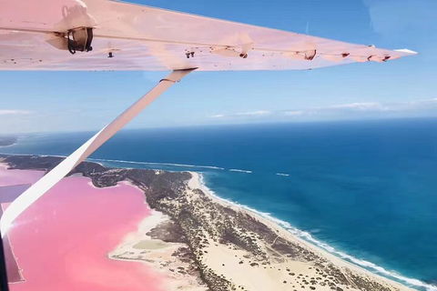 Kalbarri, Pink Lake And Abrolhos Islands Nature Tour - Lismore Accommodation 4