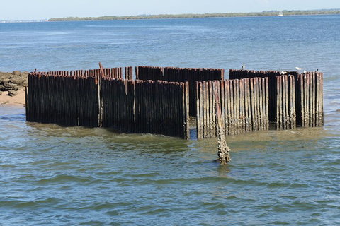 Best Of Moreton Bay Cruise - Lismore Accommodation 1